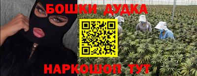 гидра Заволжье