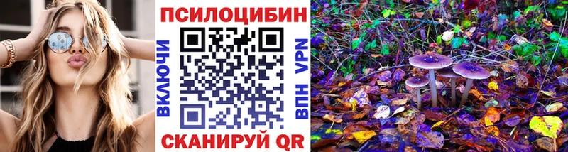 Псилоцибиновые грибы Psilocybine cubensis  Тара 